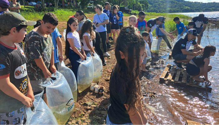  Dia do Iguaçu: Estado vai soltar 1,3 milhão de peixes nativos no rio que corta o Paraná